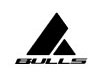 logo-bulls